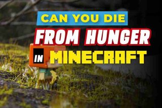 Can You Die From Hunger In Minecraft